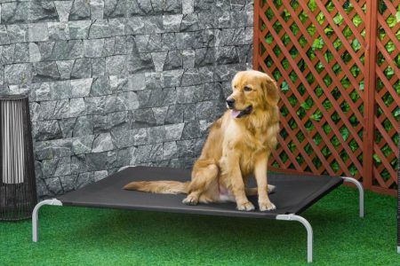 Un caine pe un un patut de caini negru in gradina